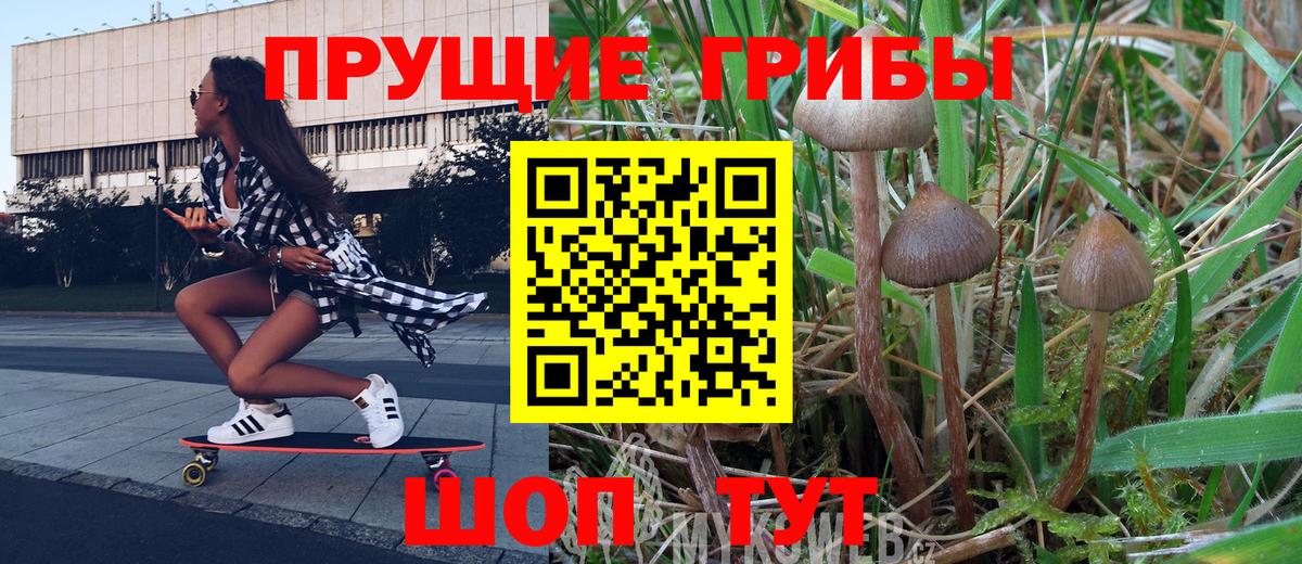 Псилоцибиновые грибы мухоморы  Псилоцибиновые грибы Psilocybine cubensis  Вход с VPN  Бийск 