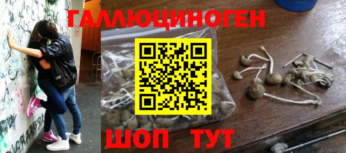 Меф кристаллы  COCAIN  Каннабис  Вход с VPN  Бийск  Гашиш  ТГК 